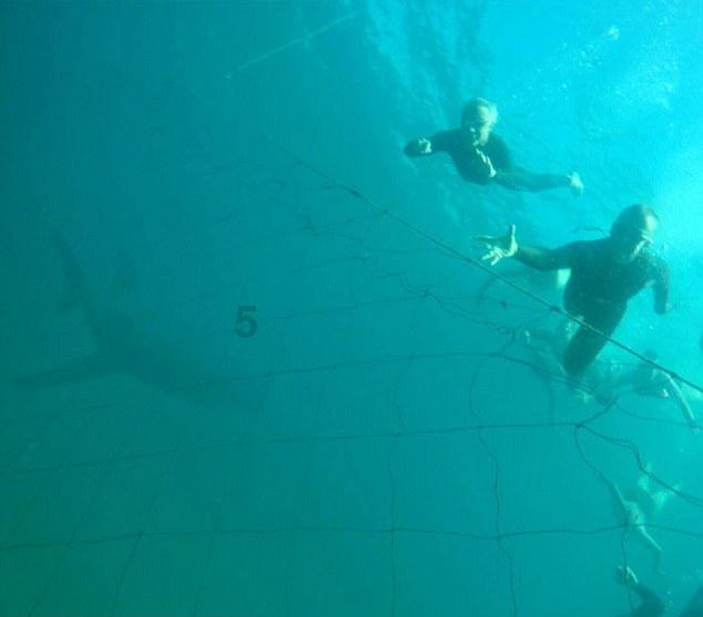 深圳罗湖 聚焦商旅文,让低空经济“展翅高飞”
